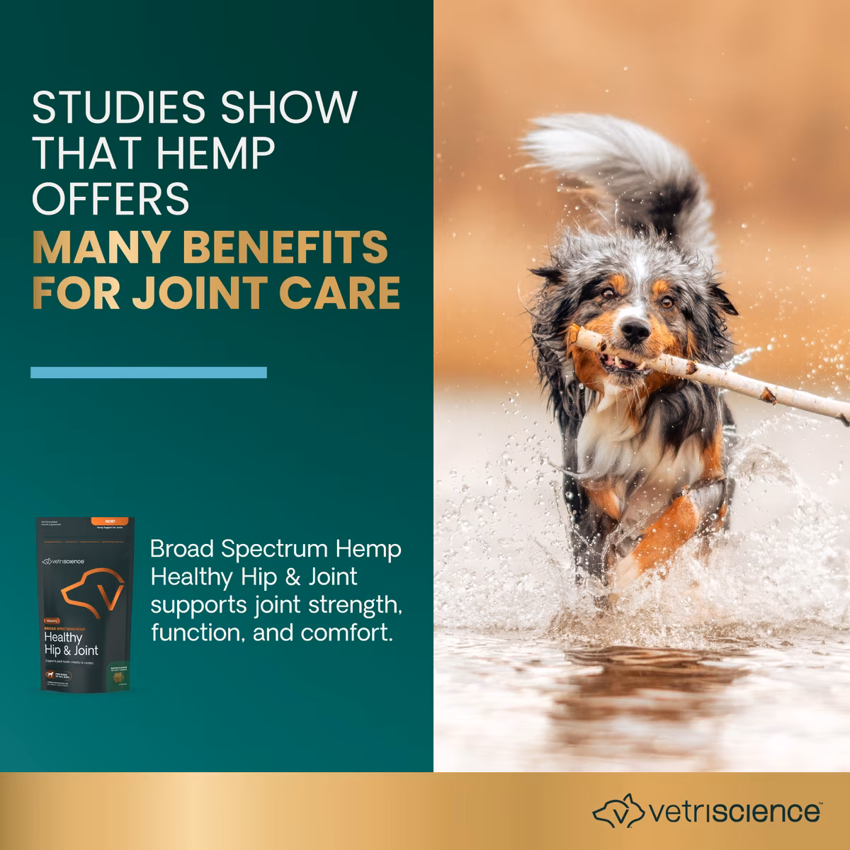 VetriScience Broad Spectrum Hemp Healthy Hip & Joint product with a photo of a dog in water holding a stick in its mouth