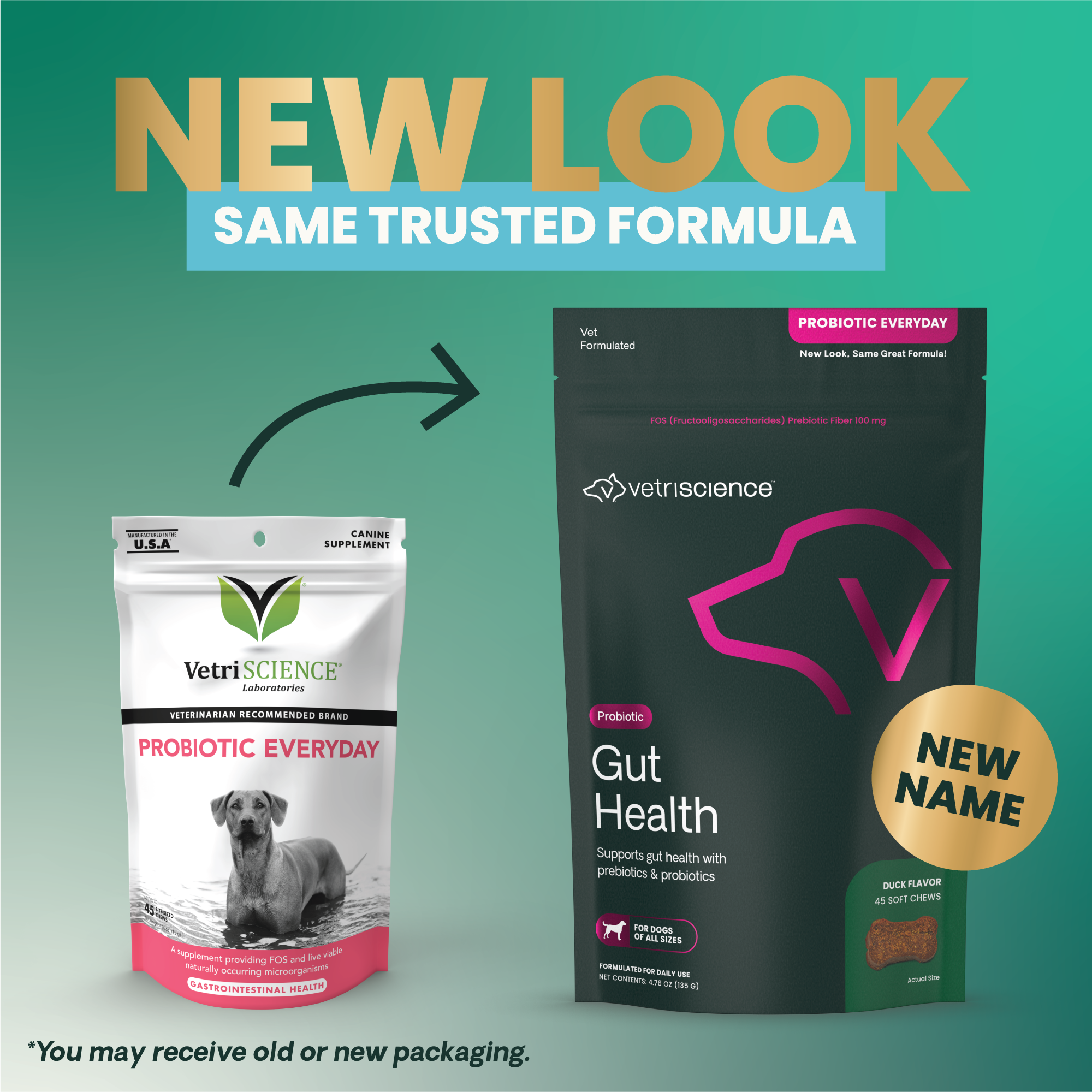 VetriScience Probiotic Everyday is now VetriScience Gut Health Rebranding Product Photo