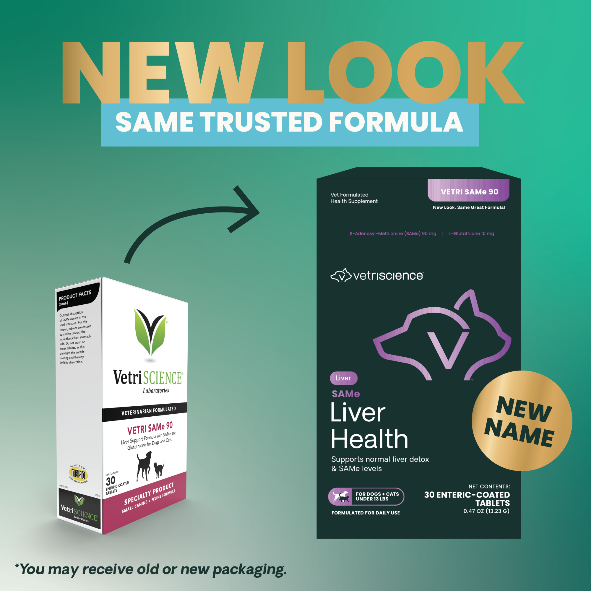VetriScience VETRI SAMe 90 is now VetriScience Liver Health Product Rebranding Photo