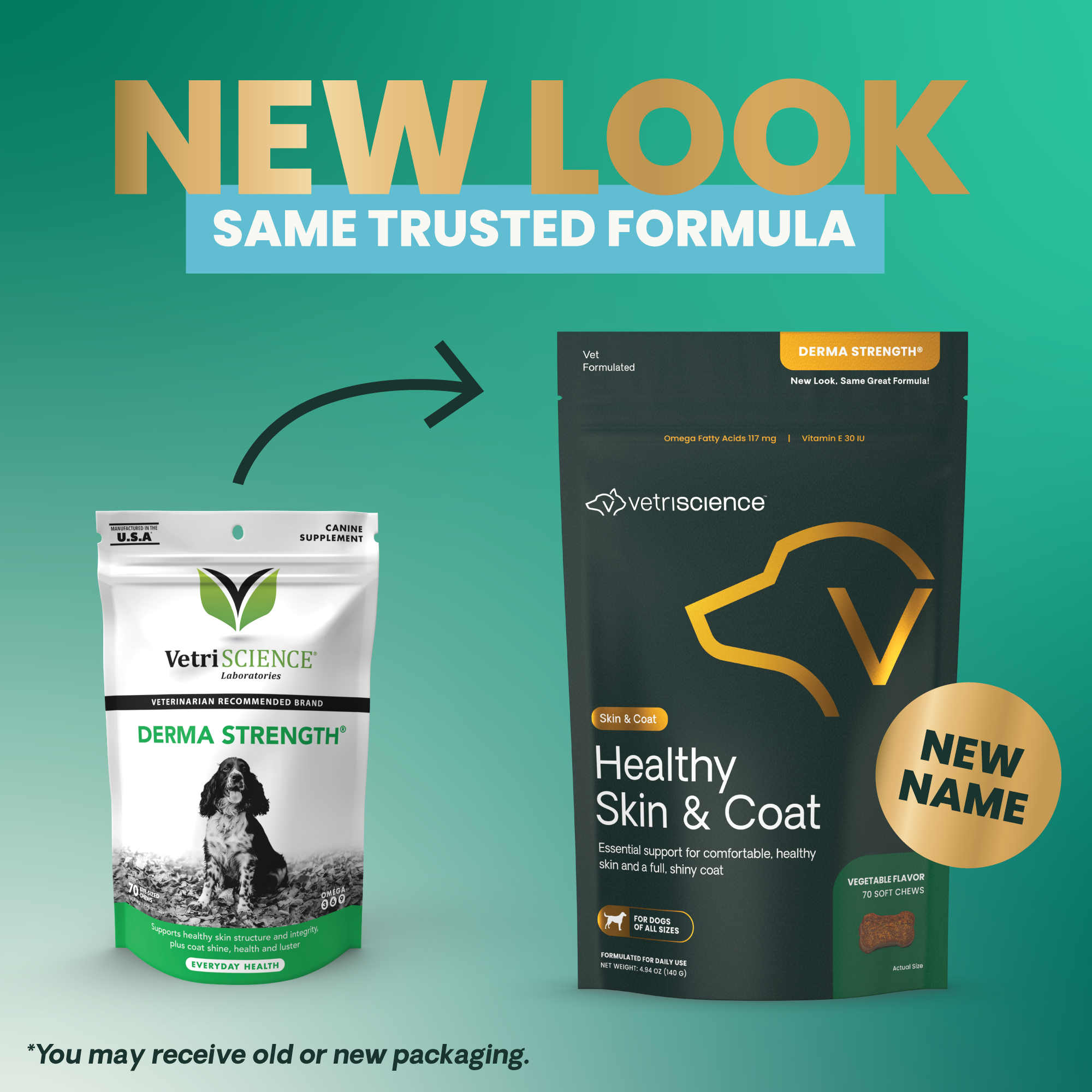 VetriScience Derma Strength is now Healthy Skin & Coat VetriScience Rebrand Product Photo