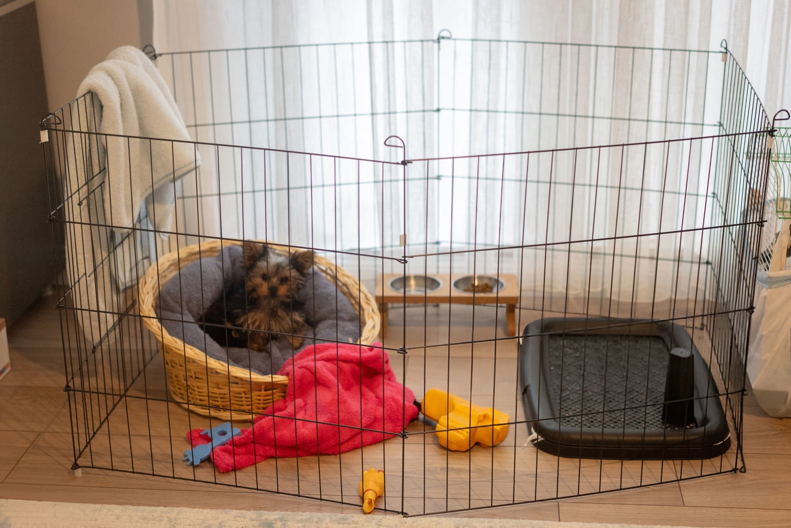 5-tips-puppy-proofing-your-home-pens
