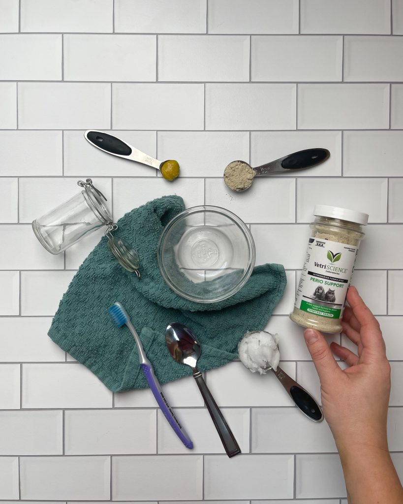 diy toothpaste for pets