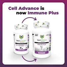 Side-by-side bottles of Cell Advance 440 and Immune Plus with a purple arrow pointing to the new product. Text reads "Cell Advance is now Immune Plus".