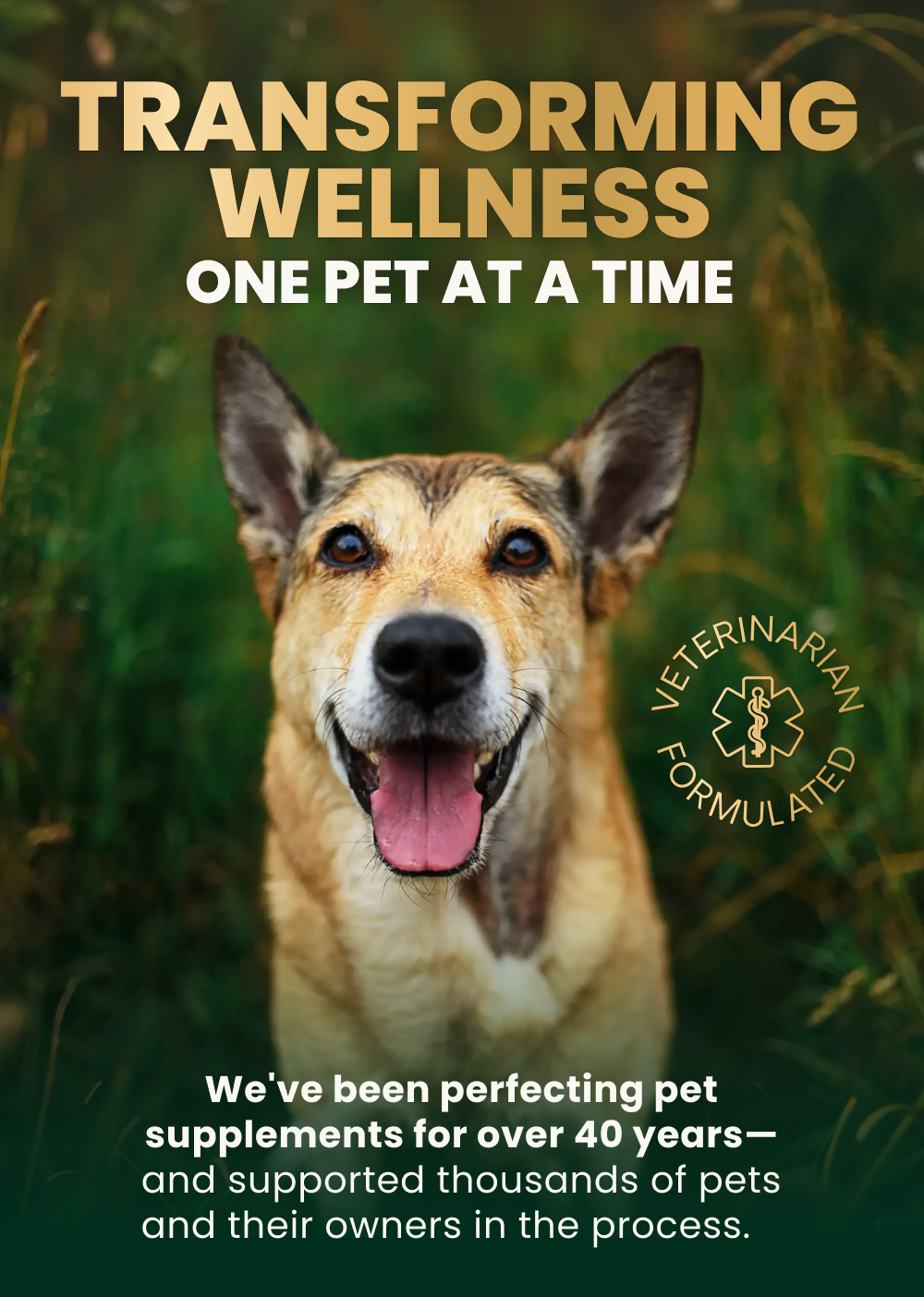 VetriScience 40 years of supporting pets - a Photo of a dog in the grass with its tongue sticking out