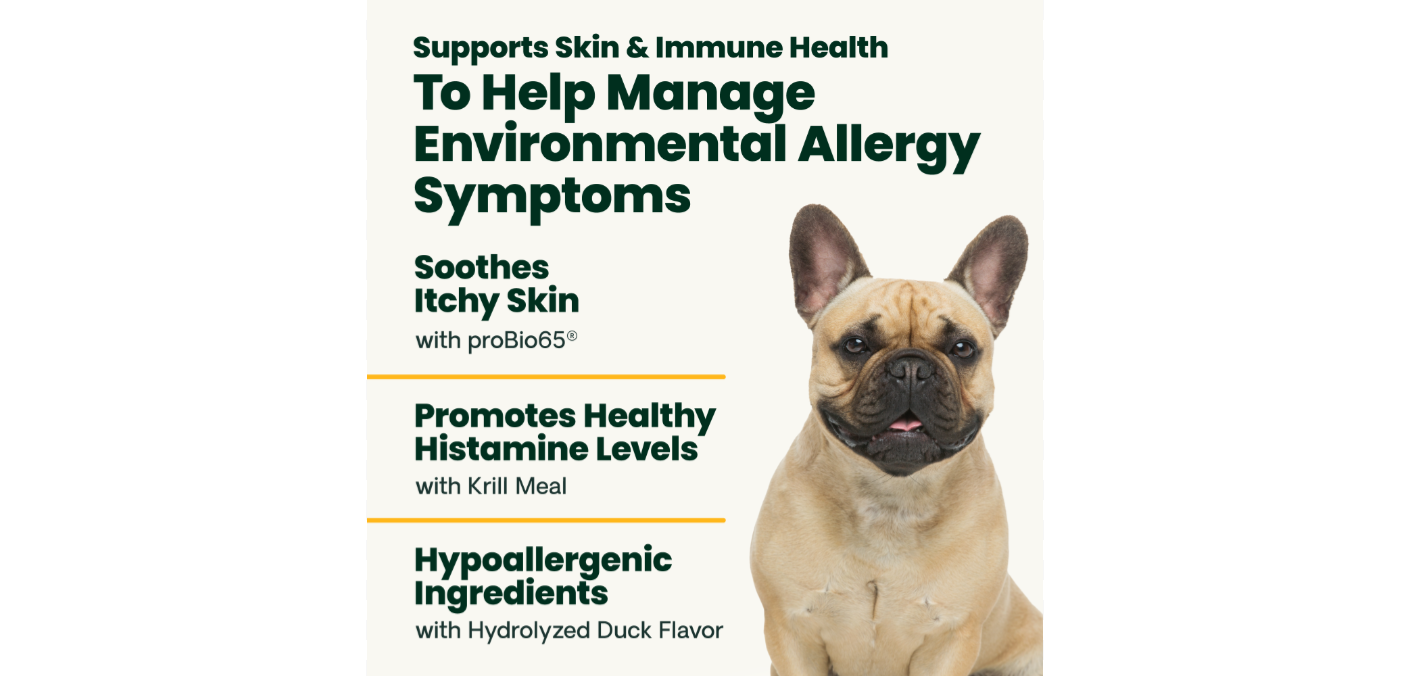 Photo of a french bulldog with text explaining the benefits of VetriScience's Allergy & Itch Support supplement for dogs