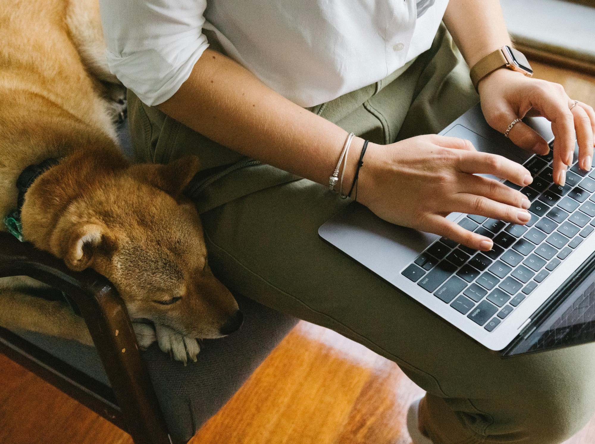 A small brown dog lays on a chair next to a person typing on a laptop