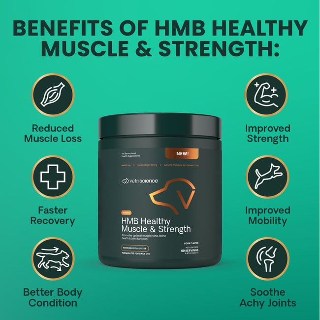 A jar of VetriScience HMB Healthy Muscle & Strength, with text overlay that reads: Benefits of HMB Healthy Muscle & Strength: Reduced Muscle Loss, Faster Recovery, Improved Strength, Improved Mobility, Better Body Condition, Soothe Achey Joints"