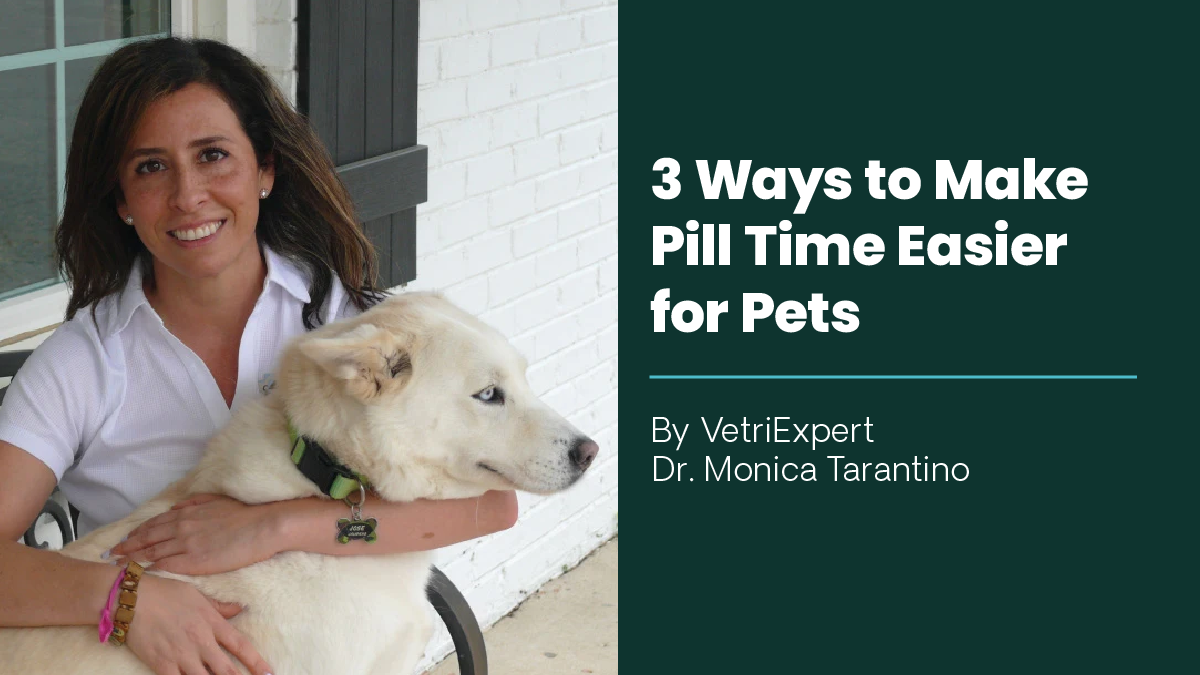 how-to-pill-dogs-1