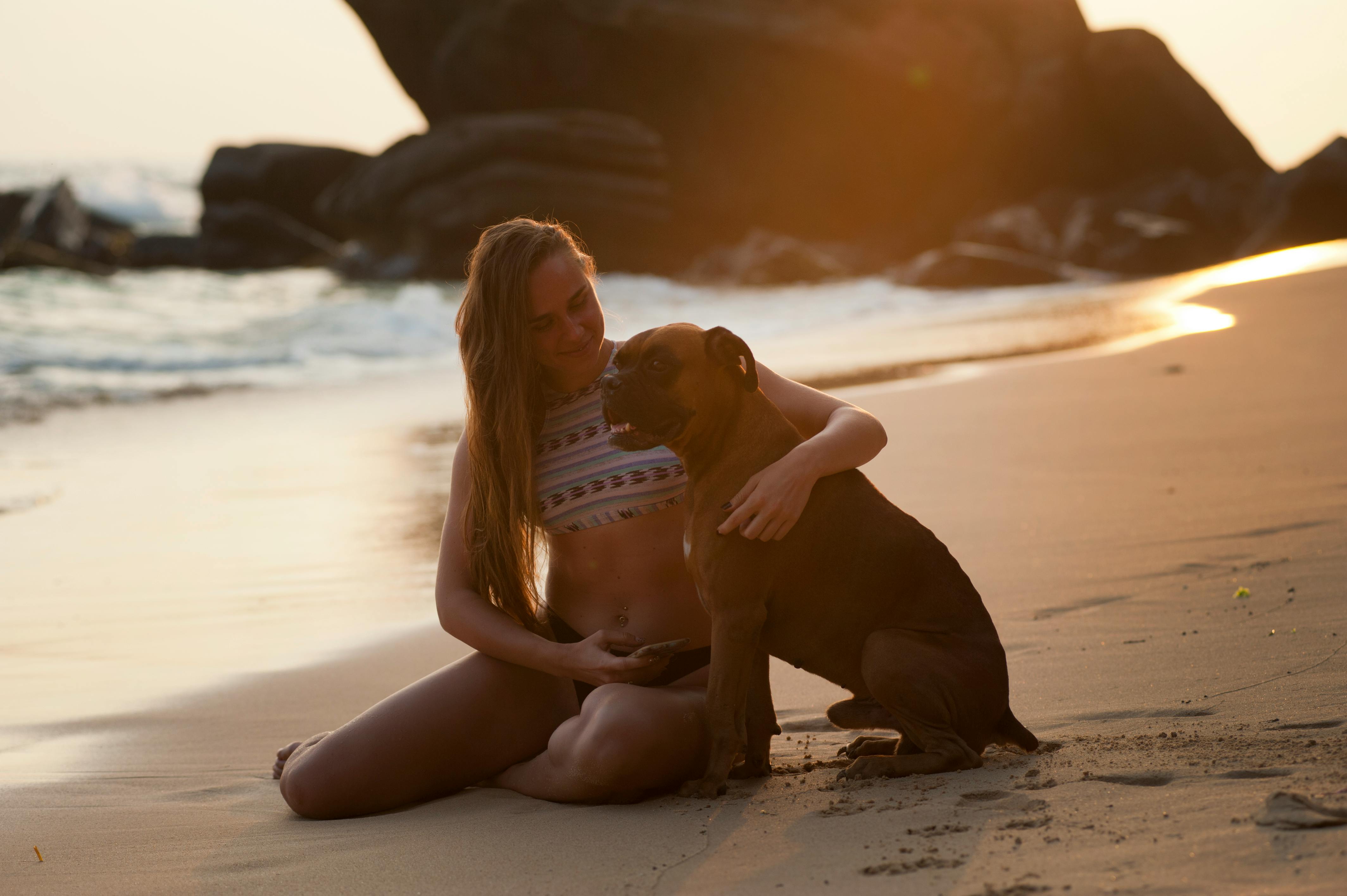 pets-in-summer