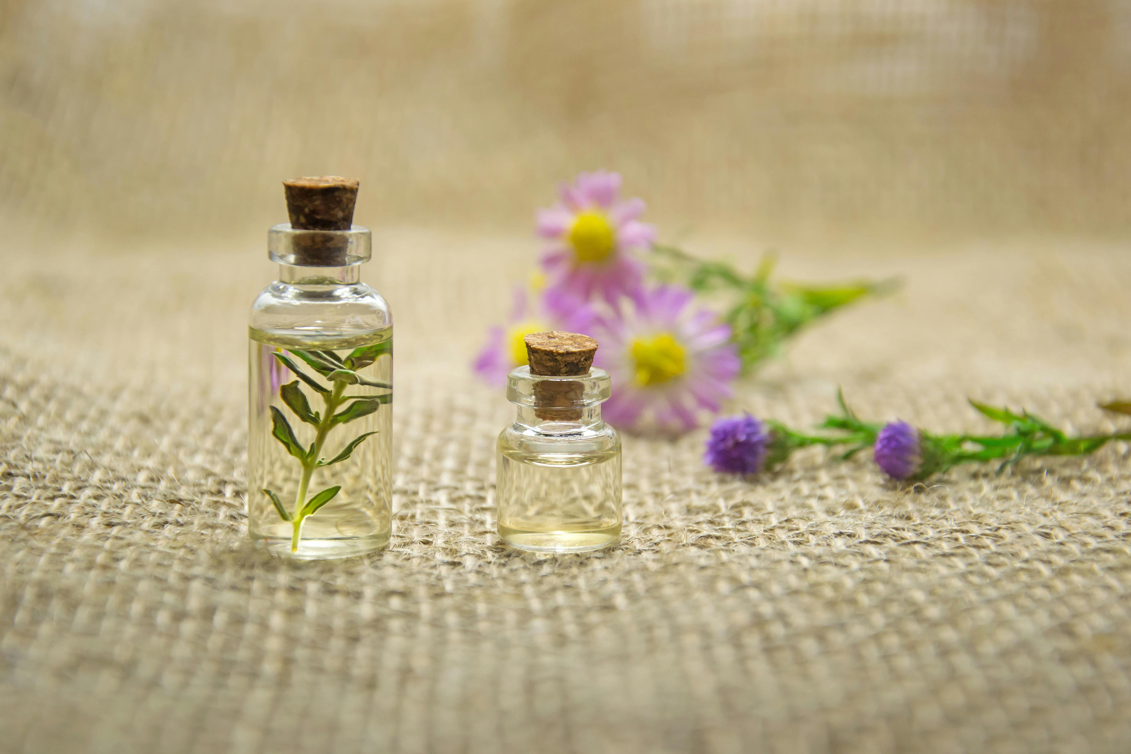 rosemary-oil-safe-for-cats