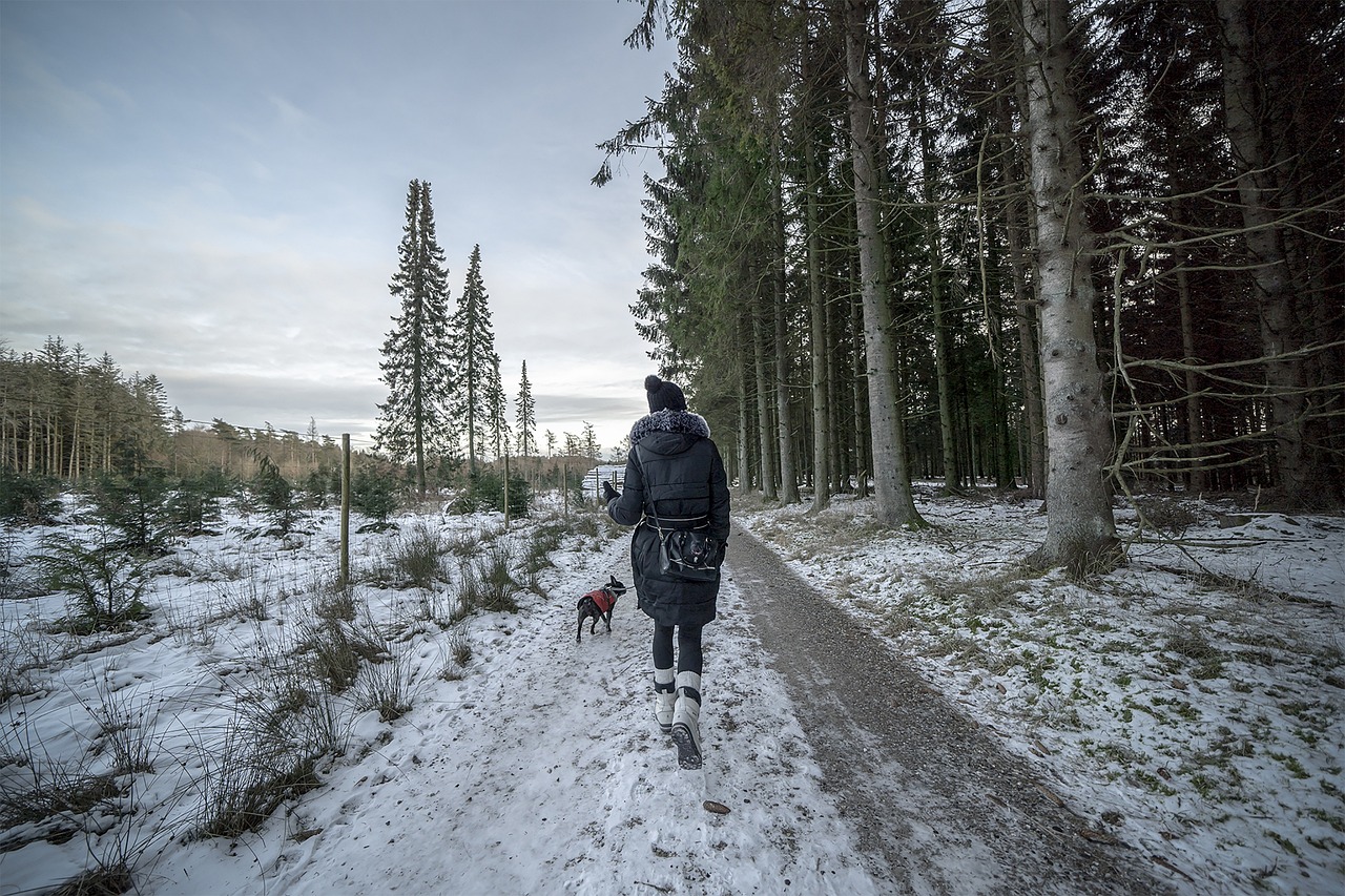 Person and their small dog, both dressed in warm coats, going for a walk in the snow near a forest
